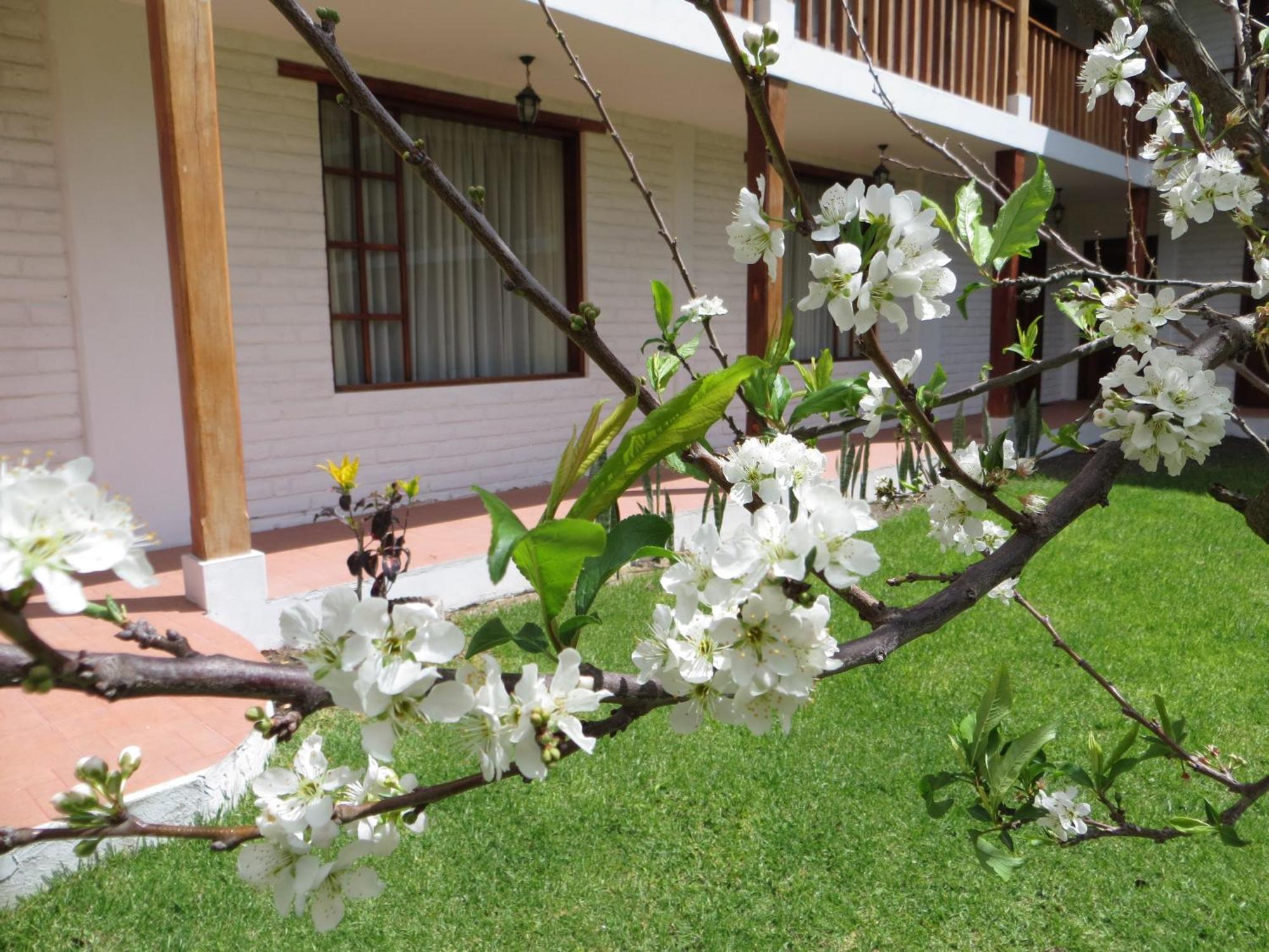 La Quinta San Andres Hotel Ибара Екстериор снимка